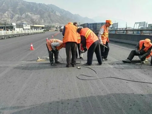 宝应道路桥梁病害治理